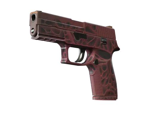 p250-contaminant-minimal wear-rare