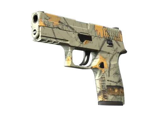 p250-modern-hunter-minimal wear-rare